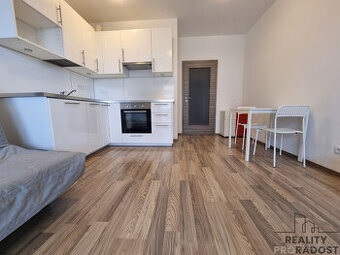 Pronájem bytu 1+kk/T 56 m2 OV Praha 9 - Letňany