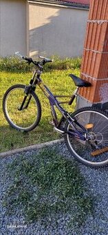 Horské kolo Giant box shock