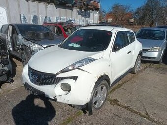Juke 2013