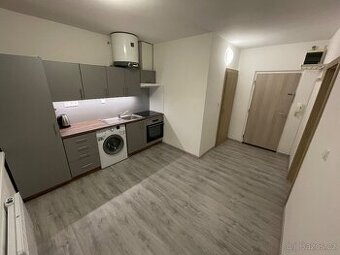 Pronájem bytu 1+1 v Hrušovanech nad Jevišovkou