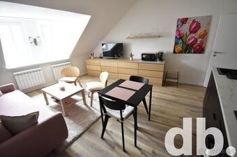 Pronájem byty 2+kk, 42 m2 - Karlovy Vary, ev.č. 01652