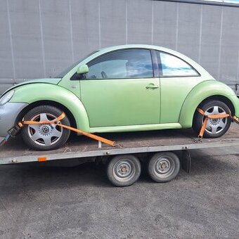 New beetle