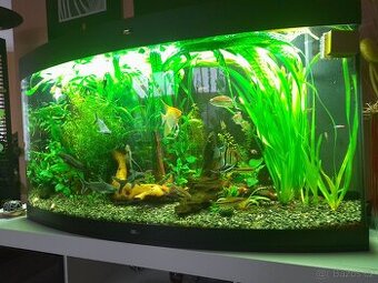 Akvárium panoramatické Juwel 300 l
