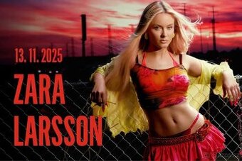 Zara Larsson-Černý Most