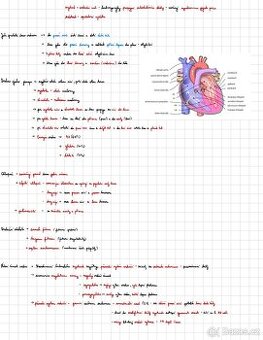 Materiály na přijímačky LF (biologie, fyzika, chemie)