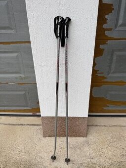 Lyžařské hůlky Sporten - délka 130cm