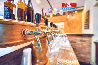 Pronájem restaurace, bar, 102 m², Plzeň, ul. Americká