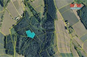 Prodej lesa, 6422 m², Březová u Všelibic - 1
