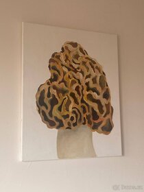 Obraz olejomalba na plátně houba, 50x40 cm - 1
