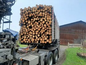 Palivové dřevo smrk 8 -15 cm ve 4m