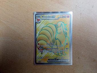 Pokémon karta Ninetales EX (186/165) SPĚCHÁ