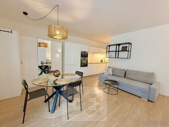 Pronájem bytu 1+kk, 40 m2 - Praha - Žižkov, ev.č. N08054