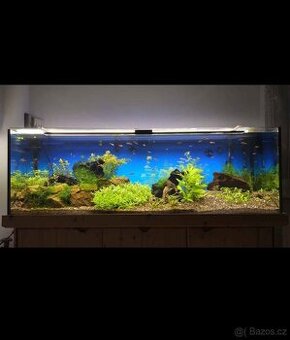 Akvárko 150x50x50 - 1