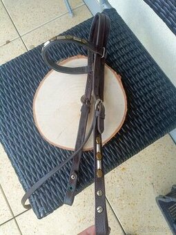 Uzdečky, obnosek, helmy, chrániče