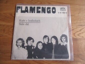 SP Flamengo - Kuře v hodinkách