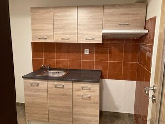 Pronájem ateliéru k bydlení 1+1, 30 m2