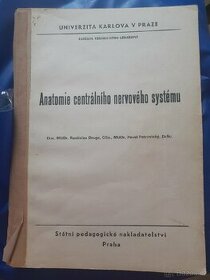 Anatomie CNS