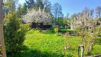 Prodej zahrádky s chatkou 198 m²