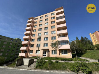 Prodej bytu 2+1, Novodvorská, Třebíč, 132312
