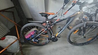 Kellys spider 50