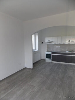 Pronájem 2+kk v Popkovicích se zahradou