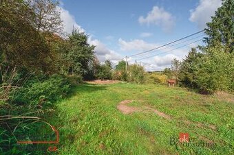 Prodej, pozemky/bydlení, 738 m2, Čečovice, Plzeň-jih [ID 772