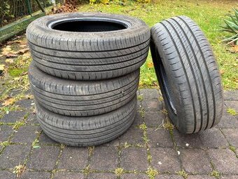 Goodyear Efficientgrip Performance 2 205/60 R16 96H