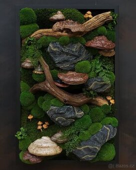 Mechový obraz / obraz ze stabilizovaného mechu