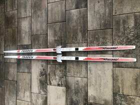 Běžky+běžkové boty