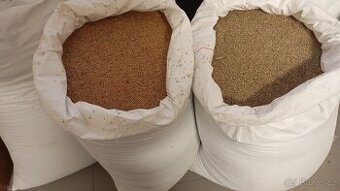 Proso žluté a zelené