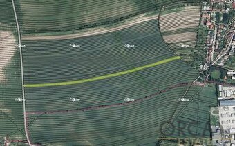 Podíl 2377 m2 na pozemcích v k.ú. Boršov u Kyjova