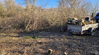 Větve k štěpkování zdarma