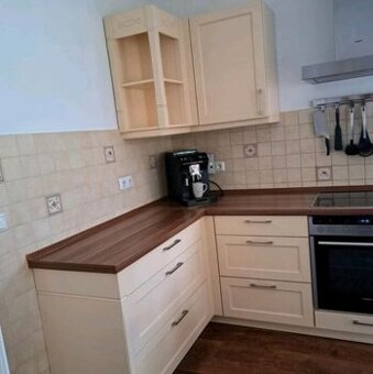 Venkovská kuchyně se spotřebiči a kredencí,6242