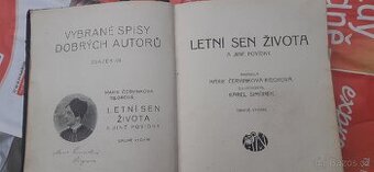 Román Letní sen života 1919