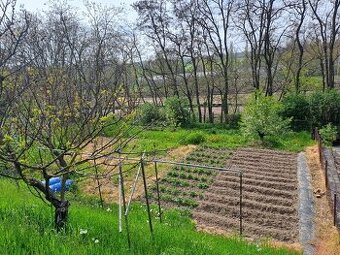 Prodej zahrady v LITOMĚŘICÍCH