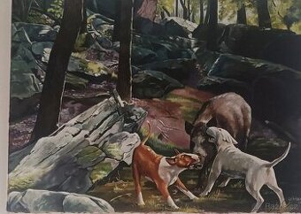 Zadržení divočáka  orig.olejomalba lov