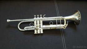 Stříbrná trumpeta Stewart Ellis