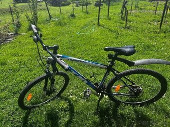 Kolo CTM 24”
