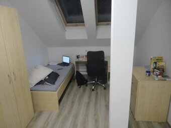 Pronájem pokoje, ulice Veveří, centrum, 20 m2