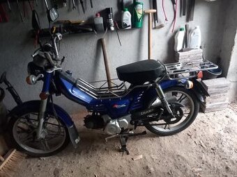 Champ yx59