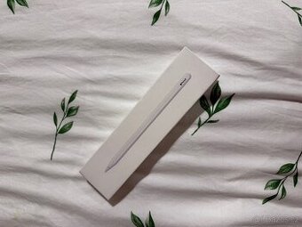 Apple pen 2.