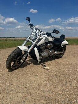 Harley Davidson v-rod muscle