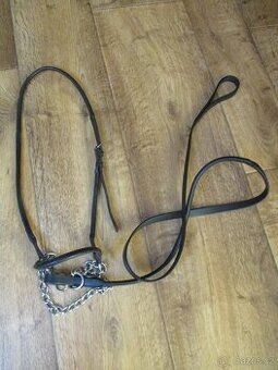 Výstavní ohlávka s vodítkem