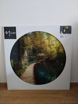 Obraz - skleněný, 70 cm, nový.