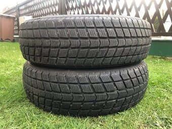 Zimní pneu Nexen Euro-Win 700