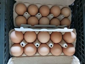 Domácí vejce vajíčka z vlastního chovu