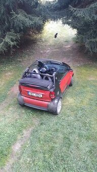 smart cabrio