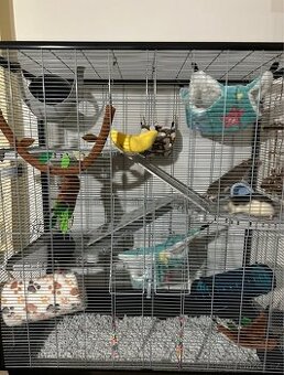 Prodám klec pro potkany – 110x100x50 cm + příslušenství