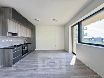 Pronájem byty 1+kk, 35 m2 - Znojmo, ev.č. N08017