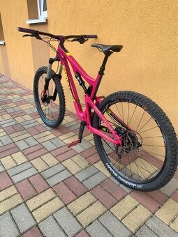 Santa Cruz